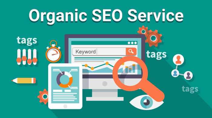 I will do proper SEO Optimization for your website and fix it accordingly